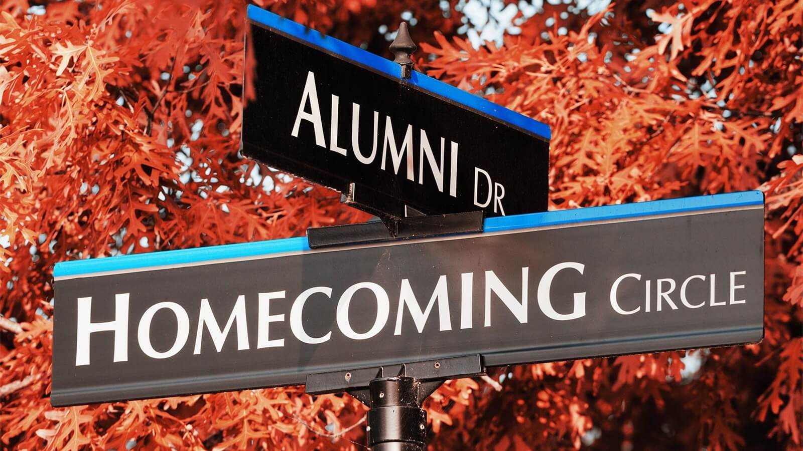 a sign saying Homecoming Circle and Alumni Dr.