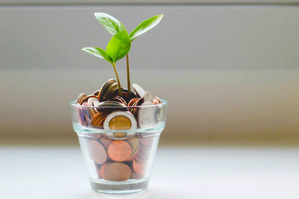 a small glass filled with coin money and a sprout growing from the top